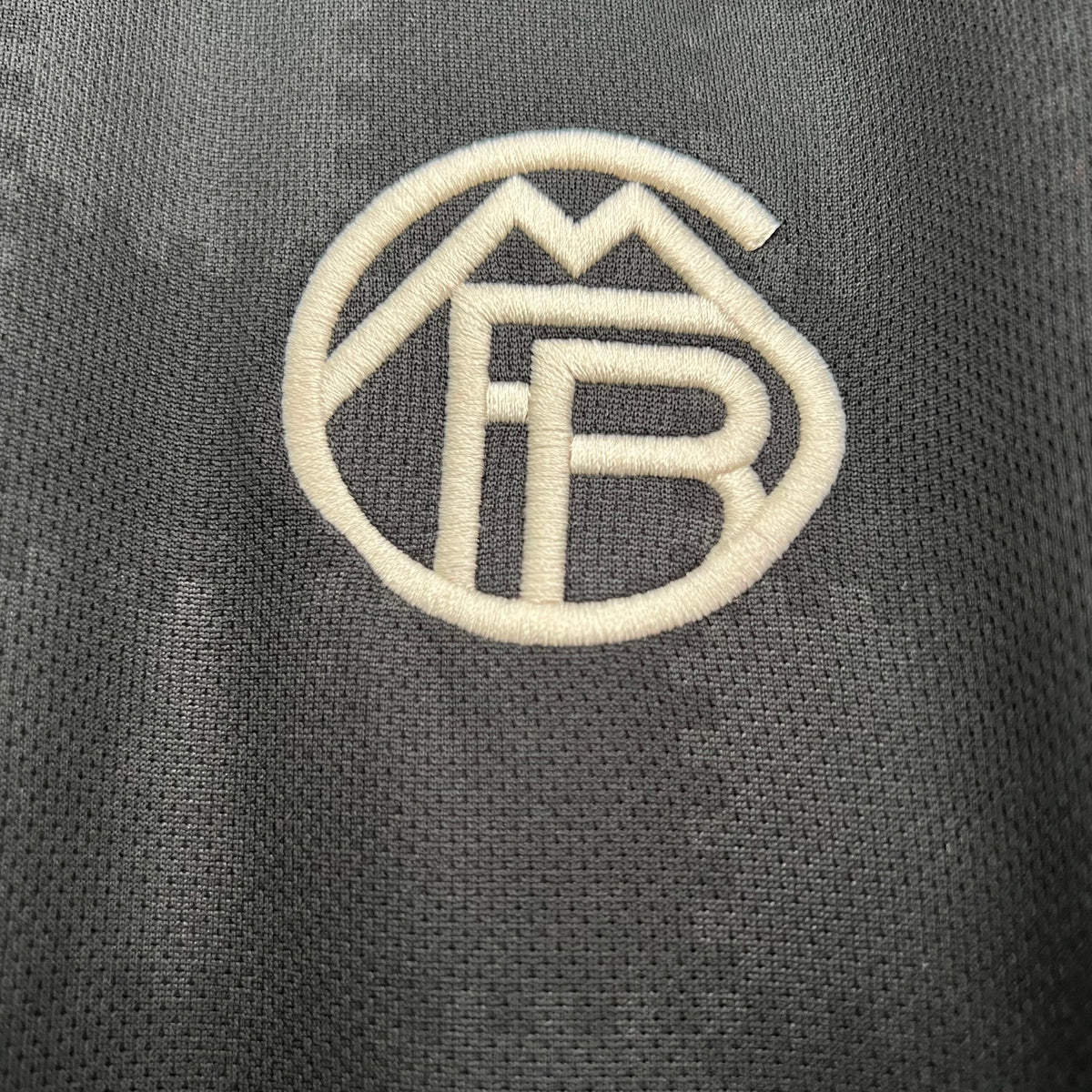 Bayern Munchen Third (25/26)
