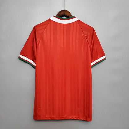 Liverpool Home (1993/95)