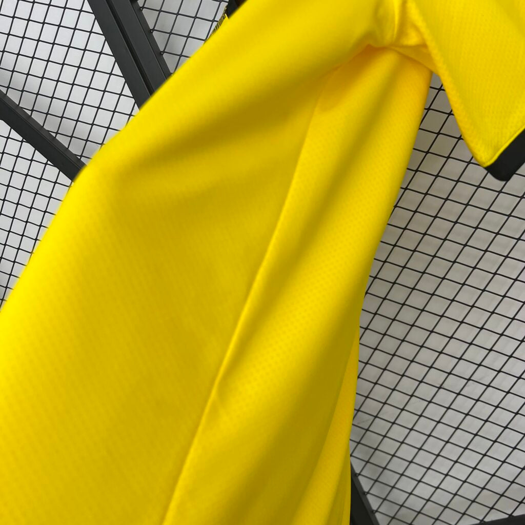 Dortmund Home (2019/20)